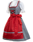 Cheeky Bella Red Checkered Dirndl Dress