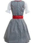 Cheeky Bella Red Checkered Dirndl Dress