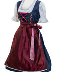 Hot Rosa Checkered Dirndl Dress