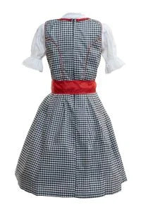 Cheeky Bella Red Checkered Dirndl Dress